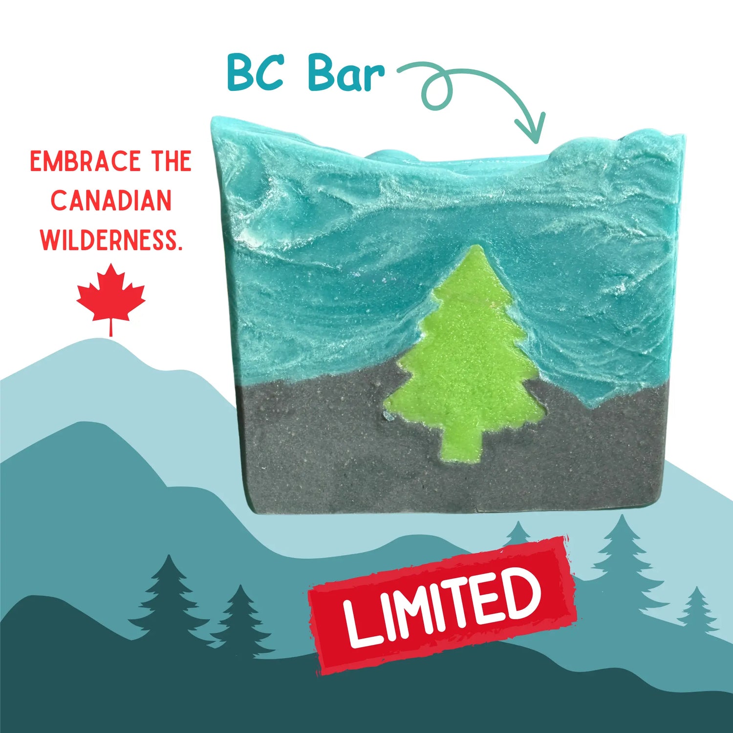 BC Bar Fresh Suds Soapery