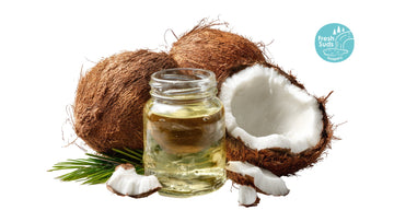 Coconut oil in a jar with whole and halved coconuts and a palm frond — raw ingredient still life for Fresh Suds handmade soap