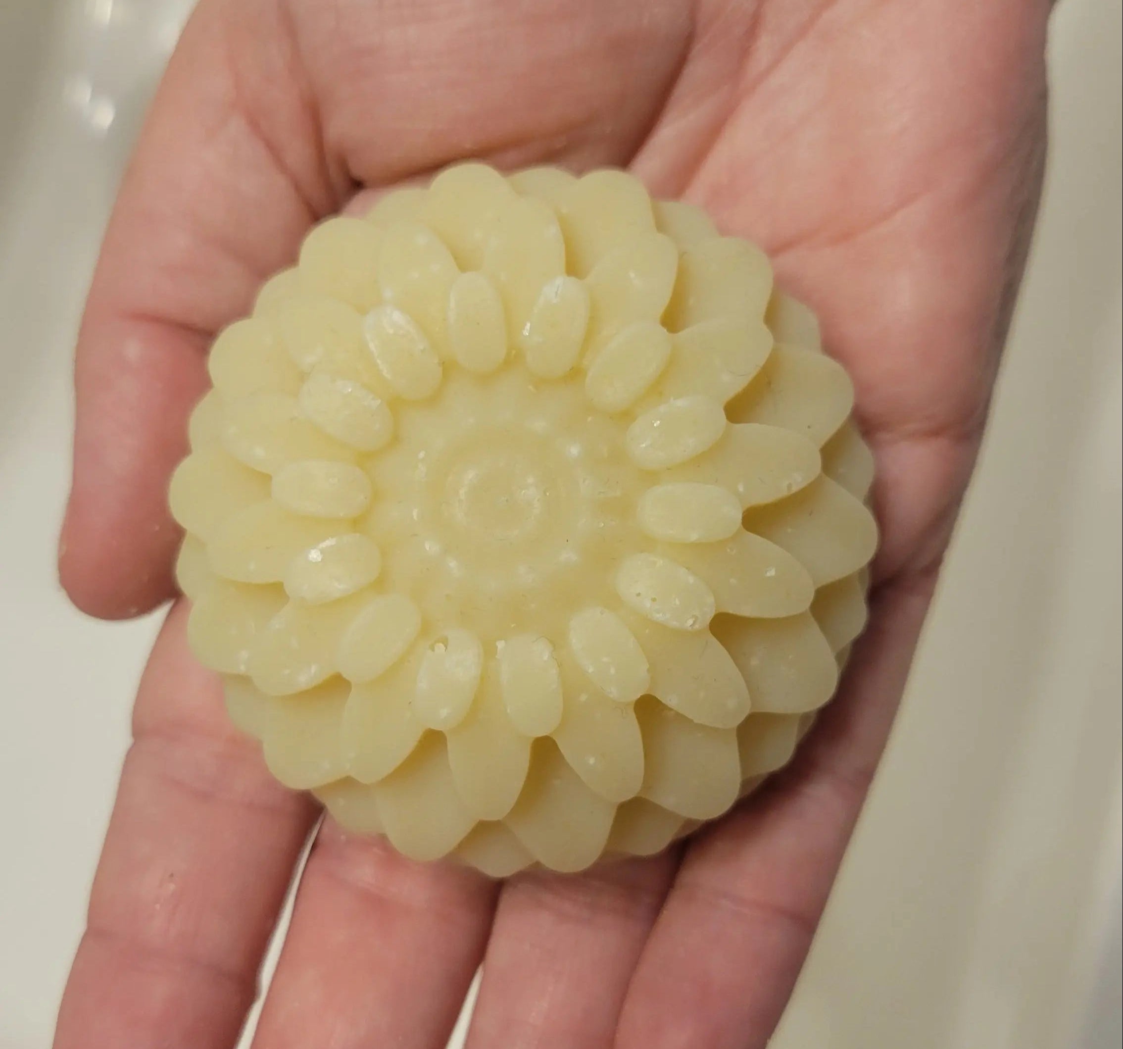 Arctic Breeze - Fresh Suds Soapery Plant Based Soap