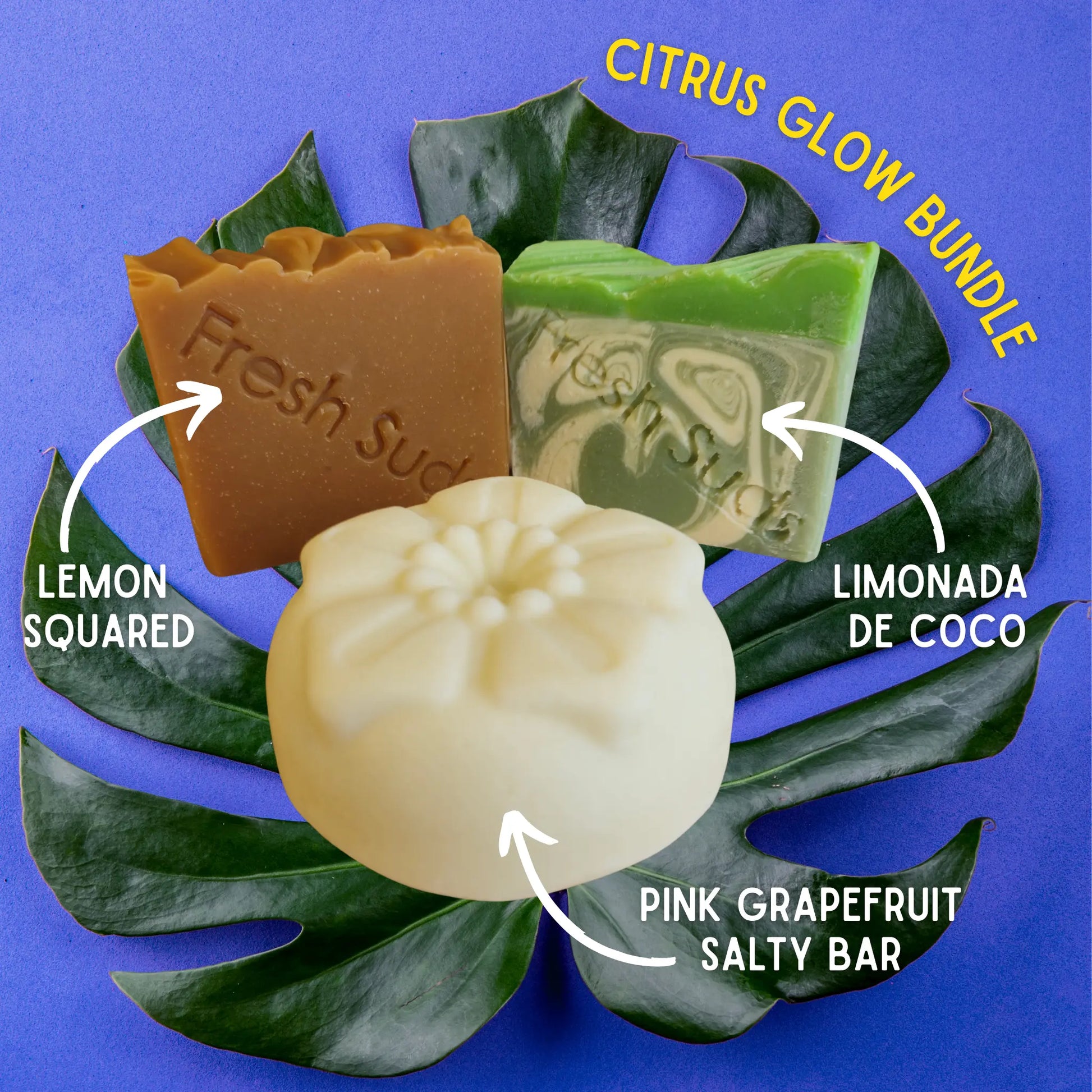 Citrus Glow Bundle Fresh Suds Soapery