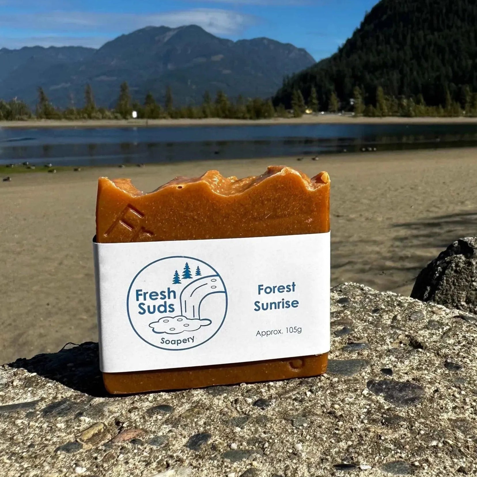 Forest Sunrise - Fresh Suds Soapery