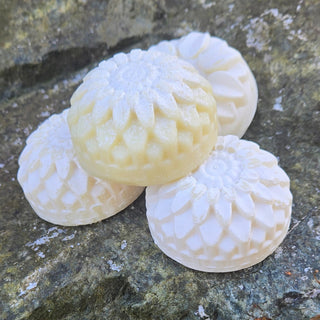 French Sea Salt