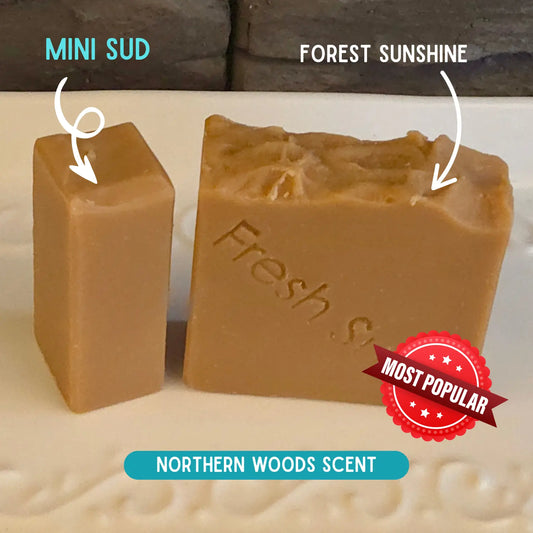 Mini Suds - Mix & Match 4 pack Fresh Suds Soapery