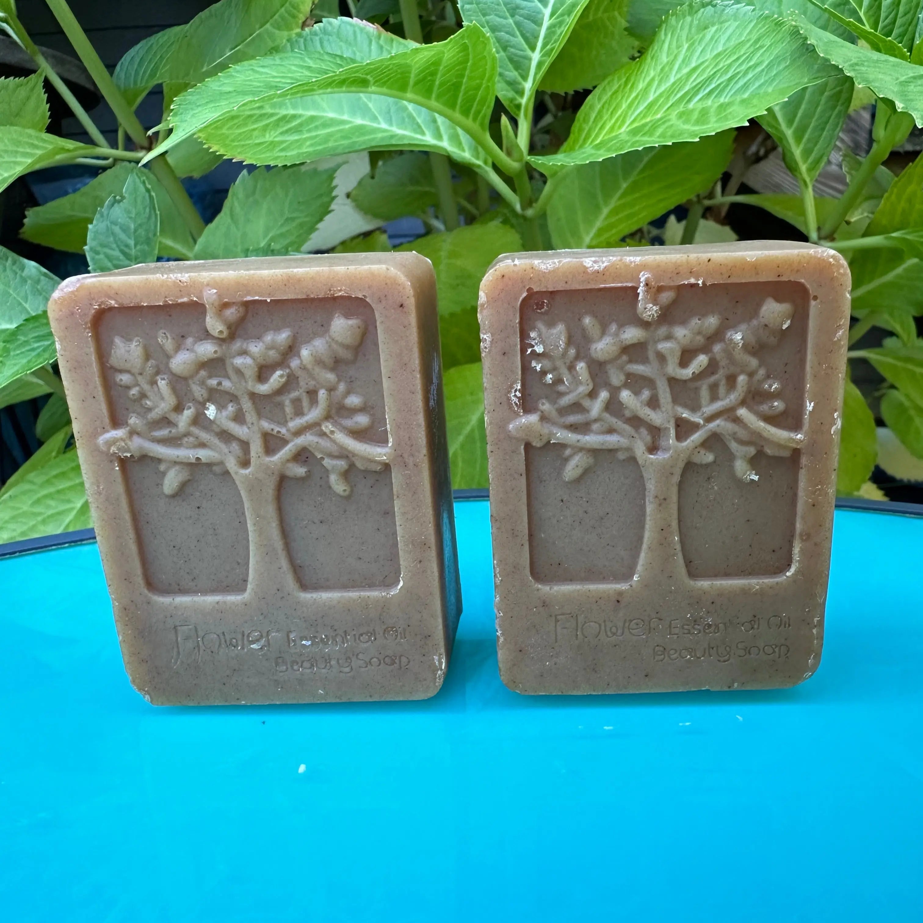 Restore (Dandelion) Fresh Suds Soapery - Herbal oil soap