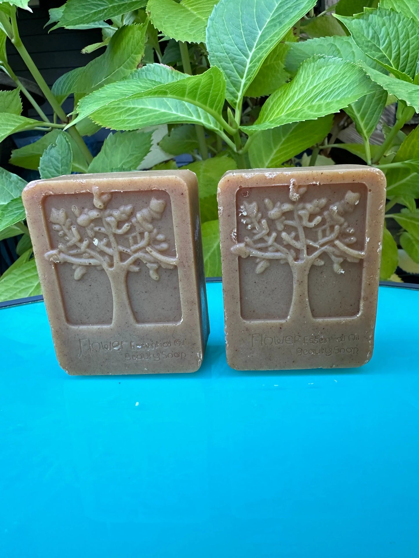 Restore (Dandelion) Fresh Suds Soapery - Herbal oil soap