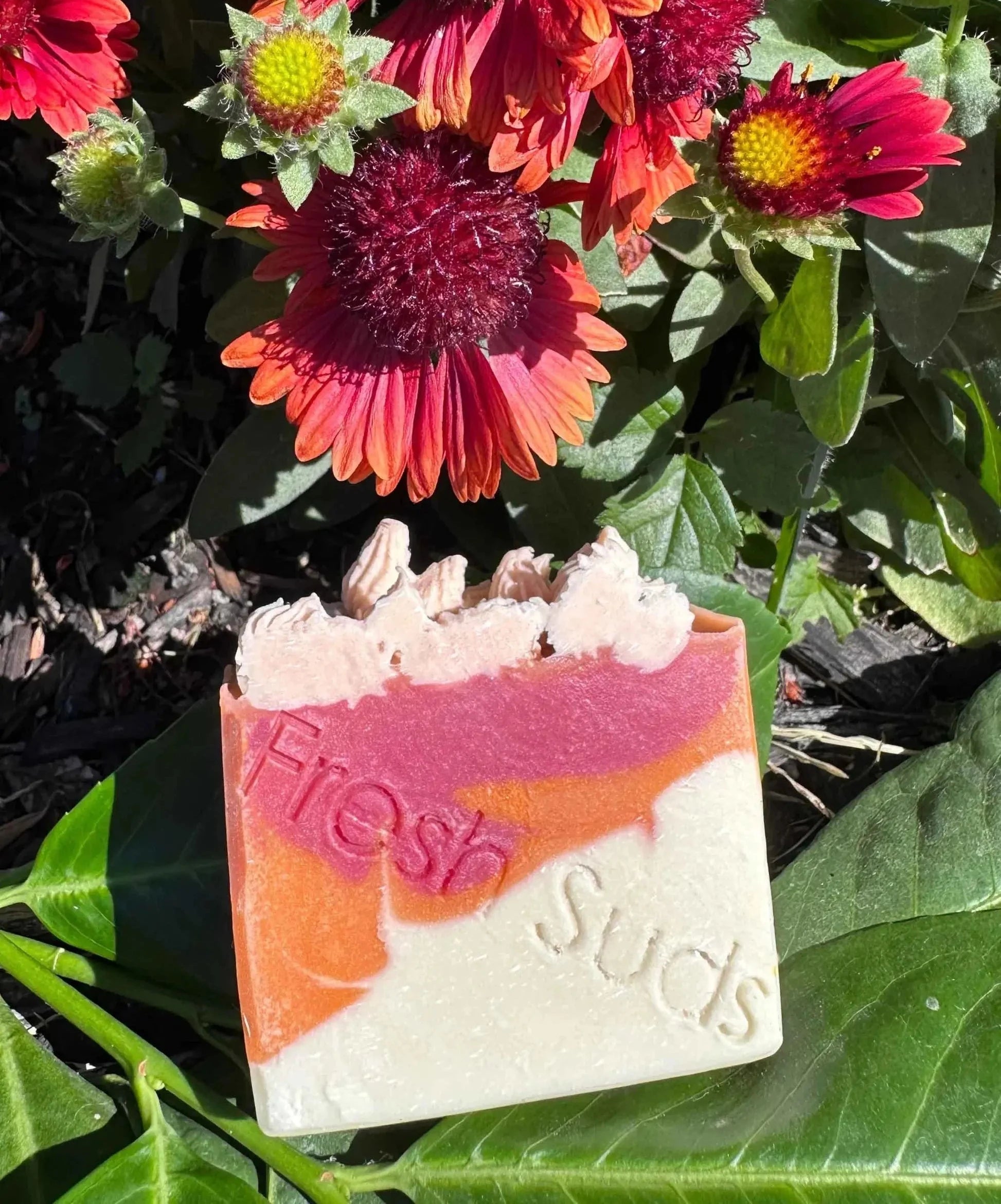 Spicy Sip - Fresh Suds Soapery - Plant-based soap