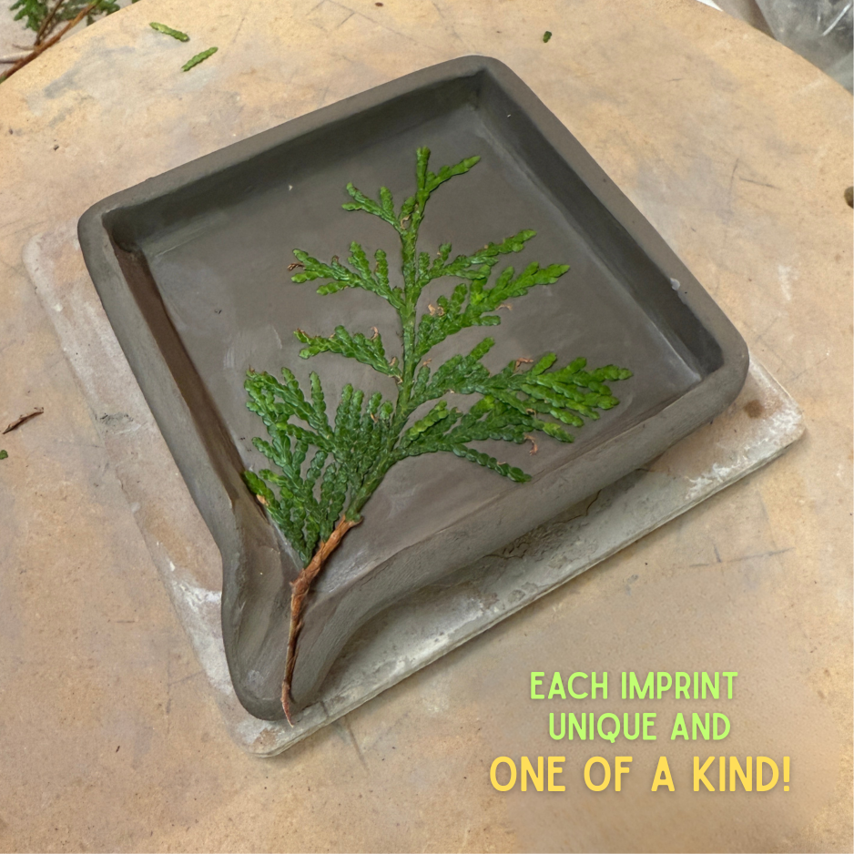 Whispering Cedar Soap Dish & Bar Bundle