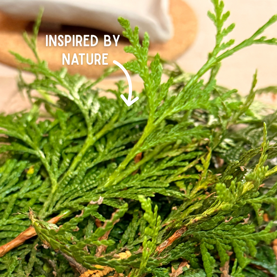 Whispering Cedar Soap Dish & Bar Bundle